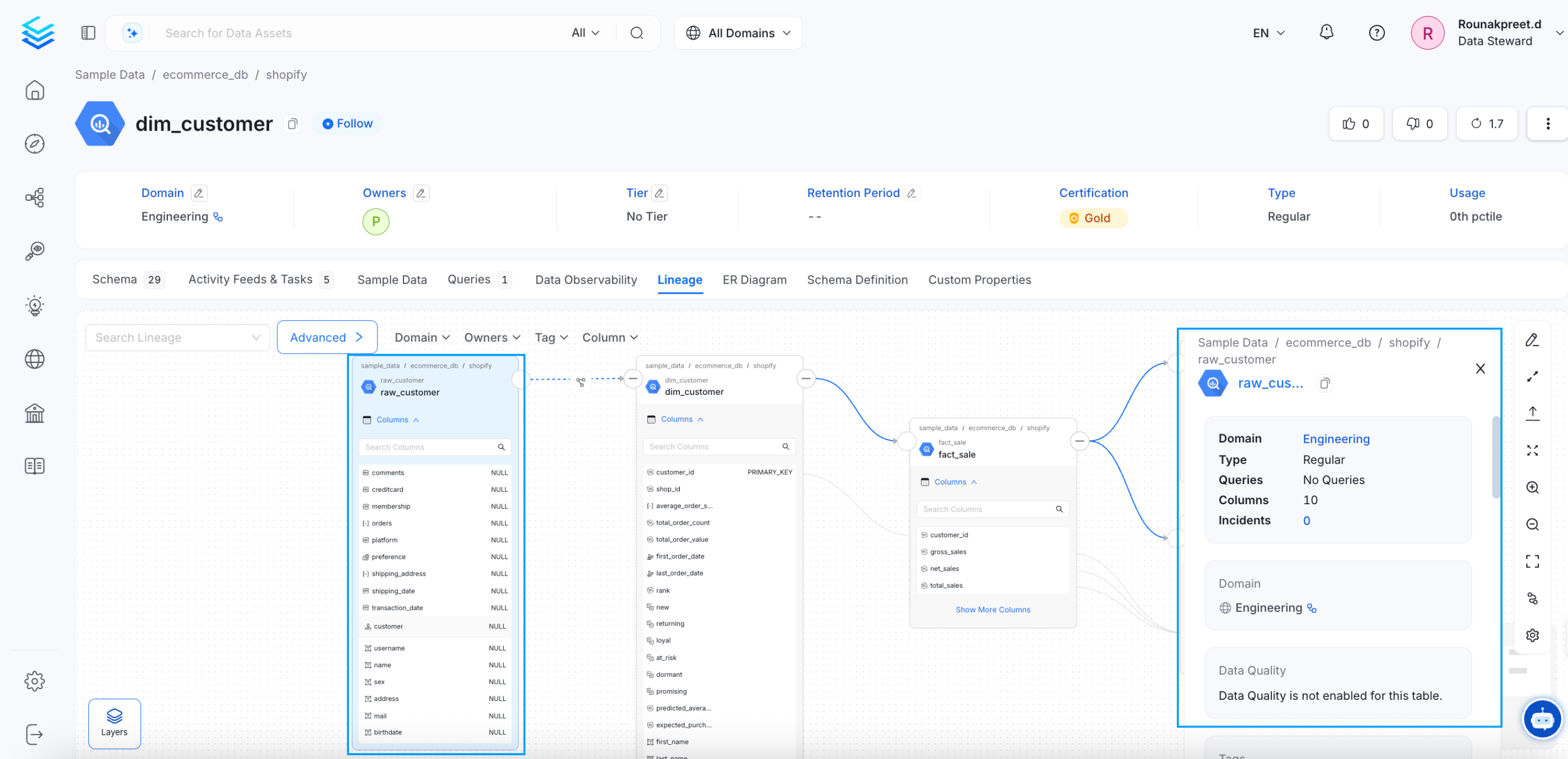Quick Glance at the Data Asset from Lineage View