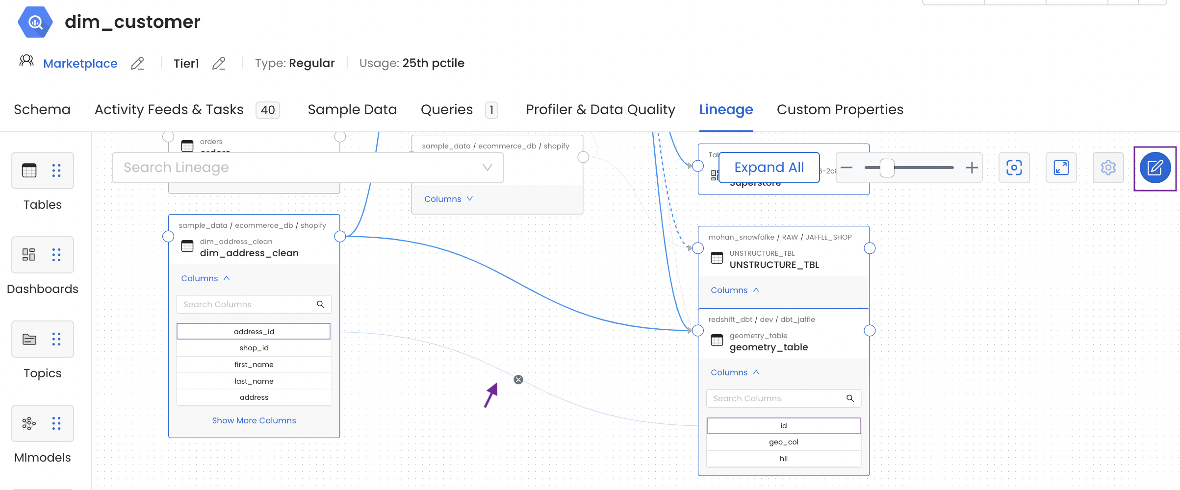 Manually Edit Column Level Lineage